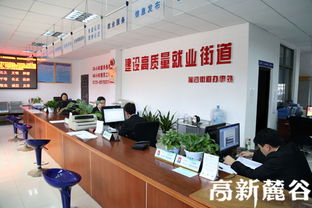 7×24小时不断线就业与信息咨询服务 数字化时代的全天候职业助手